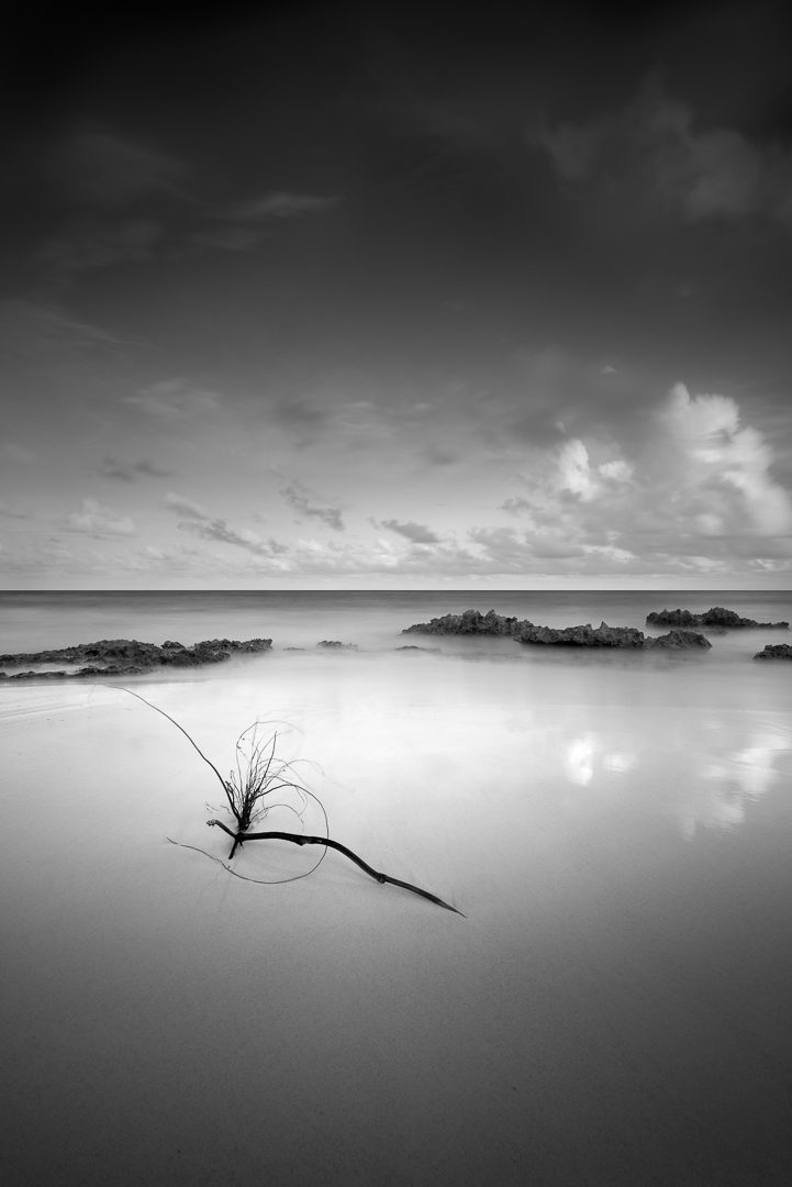 The Things They Left Behind