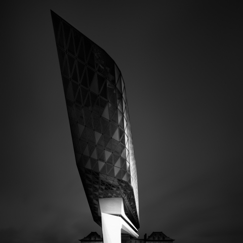 Beauty in the dark II