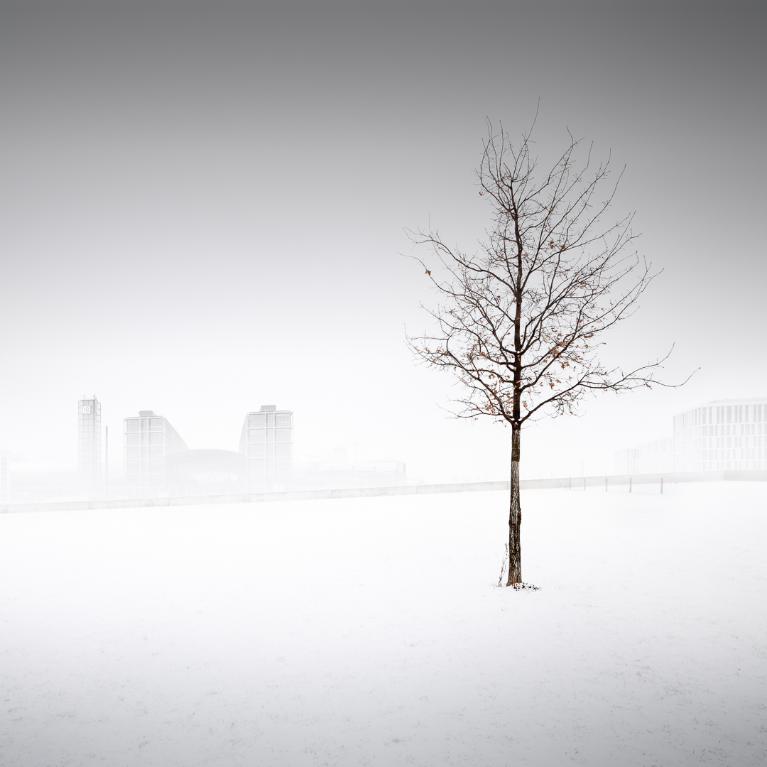 In the quiet solitude